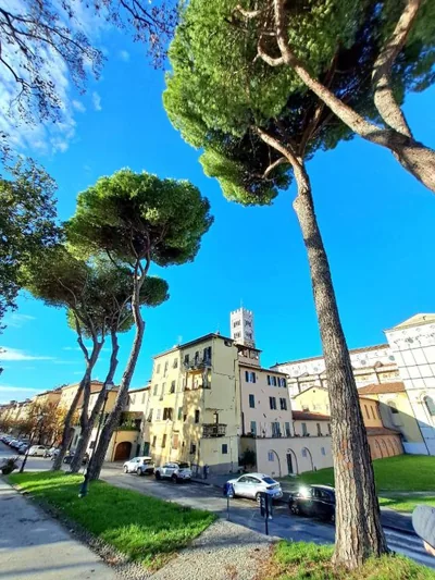 Nel cuore del centro storico di Lucca a ridosso della Cattedrale di San Martino appartamento con accesso autonomo e giardino esclusivo – Photos 6