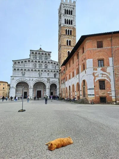 Nel cuore del centro storico di Lucca a ridosso della Cattedrale di San Martino appartamento con accesso autonomo e giardino esclusivo – Photos 16
